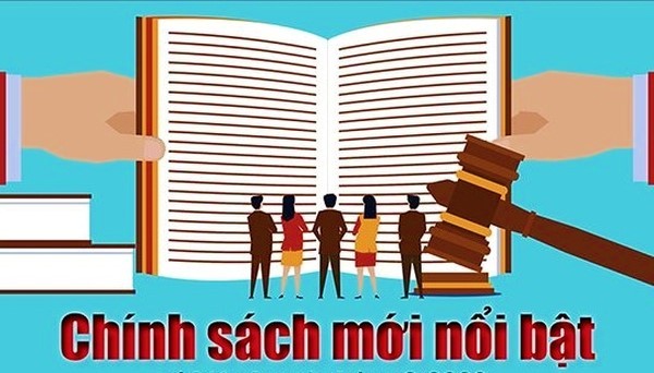 Chính sách mới nhất