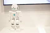 Hết cho robot đấm bốc, người Trung Quốc giờ lại 'hô biến' đưa AI vào gấu bông để tạo ra ngành công nghiệp tỷ USD