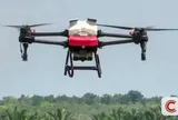 Thành phố đầu tiên ở Việt Nam giao hàng bằng drone, bắt đầu vận hành từ tháng 3 này