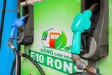 Doanh nghiệp đã hoàn tất hạ tầng, xăng E10 sẵn sàng thay thế xăng khoáng