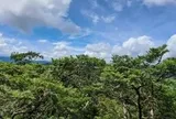 Phong Nha - Kẻ Bàng được công nhận là Khu Dự trữ sinh quyển thế giới