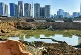 Hàng loạt cây xà cừ cổ thụ bị chặt hạ bên dự án hồ điều hòa Đồng Bông 2