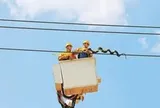 Phát hiện vật thể nhìn như rắn quấn quanh đường dây điện của Trung Quốc: "Thân phận" thực sự gây bất ngờ