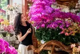 Người phụ nữ gây sốt với “phòng khách hoa lan” hơn 1.000 chậu: Không gian ngập sắc hoa khiến ai nhìn cũng muốn ngắm mãi