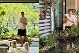Hồ cá Koi trên ban công, cửa sổ view "4 mùa" của chàng trai lên núi xây nhà sống cùng 4 chú chó