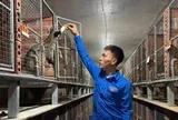 Bỏ ý định xuất ngoại, chàng trai về quê nuôi chồn hương, thu nửa tỉ mỗi năm