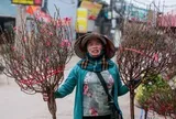 Dự kiến các ngày nghỉ lễ, Tết năm 2027