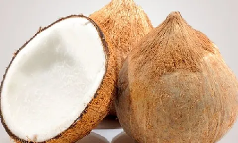 Bất ngờ với giá dừa khô ở miền Tây