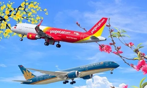 Muốn mai, đào Tết 'đi máy bay', khách hàng phải chi bao nhiêu?