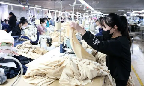 Không ký hợp đồng lao động: Doanh nghiệp sai luật, người lao động cần làm gì?