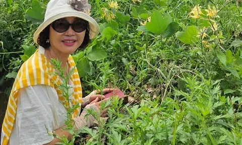 Ở tuổi 50, tôi đã không quá khủng hoảng khi nghĩ đến nghỉ hưu: Tất cả bắt đầu từ 500.000 đồng/tháng cách đây 10 năm