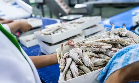 Một ngành hàng của Việt Nam được cả thế giới săn đón - xuất khẩu đạt 874 triệu USD tháng đầu năm, tăng trưởng 13%