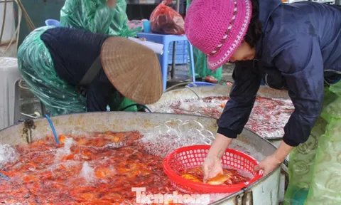 Cá chép tiễn ông Công ông Táo: Giá giảm mạnh, chợ vắng tanh