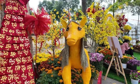 Thông tin mới nhất về linh vật ngựa "mi cong, tóc dài" ở miền Tây