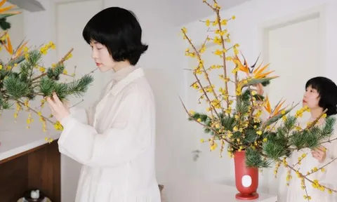 Tết 2026: Đừng chỉ cắm đào hay ly, thử ngay loài hoa "thơm thấu tâm can" này để phòng khách vừa sang vừa vượng khí, ngắm thôi cũng thấy cả một vườn xuân đắt giá!