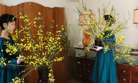 Mùa xuân nằm trọn trong một bình Nghênh Xuân: Sắc vàng rực rỡ, cành rủ mềm mại như suối tóc, chưng Tết vừa sang vừa hút lộc