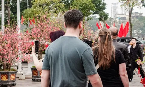 Khách Tây ngỡ ngàng trước vườn đào lớn chưa từng có nằm ngay giữa trung tâm Hà Nội