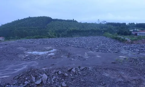 Một cựu Phó Trưởng phòng Tài nguyên và môi trường bị khởi tố