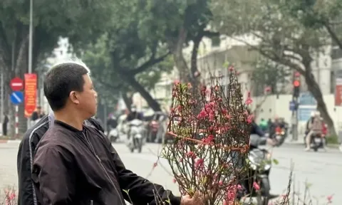 Bộ Tài chính thông tin về giá cả thị trường Tết