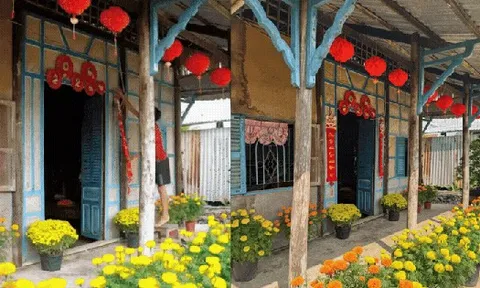 Mùng 1 Tết, ghé thăm căn nhà miền Tây với không khí đầu năm ngập sắc xuân: Hoa nở kín hiên, trái trĩu cành