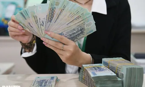 10 startup Việt hút 4.000 tỷ đồng: Coolmate, Dat Bike dẫn đầu