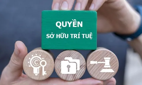Thủ tướng chỉ thị tăng cường thực thi quyền sở hữu trí tuệ