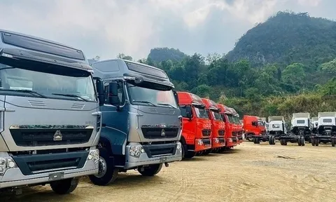 Thấy gì việc nhập ô tô tải ồ ạt về Việt Nam?