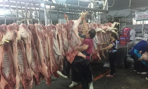 Giá heo hơi hôm nay, 10-3: Heo mảnh tại chợ đầu mối tiếp tục rớt mạnh