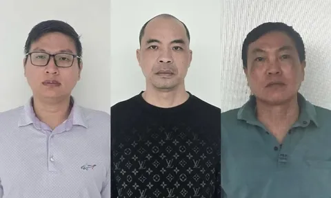 Ba giám đốc trốn thuế hơn 1,8 tỷ đồng ở Tuyên Quang