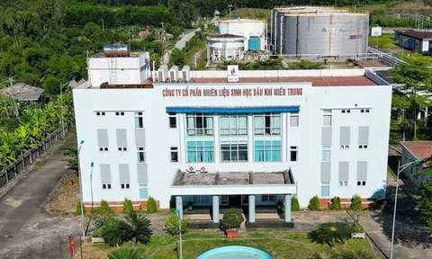 Nhà máy nhiên liệu sinh học Dung Quất vận hành, chuẩn bị phối trộn xăng E10