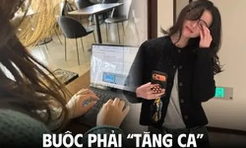 18h “check-out” nhưng không tan làm: Dân văn phòng tự nguyện OT vì thiếu tiền