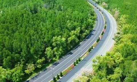 Một tuyến đường đang "đốn tim" giới trẻ TPHCM