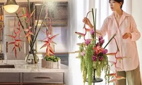 Bóc trần sự thật về loài hoa "Hồng Hạc" đang rần rần cõi mạng: Đẹp mộng mị nhưng đỏng đảnh khó chiều, lỡ mua rồi thì cắm sao cho sang?