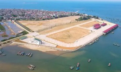 Cảng cá gần 300 tỷ thành điểm du lịch, chủ tịch tỉnh phải đăng lên Facebook