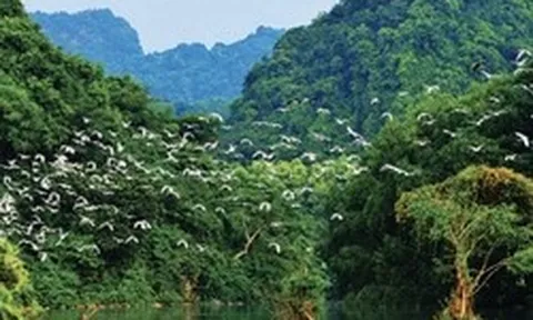 Từ 1/4, không chỉ Hang Múa mà 1 địa điểm nổi tiếng ở Ninh Bình đồng loạt tăng giá