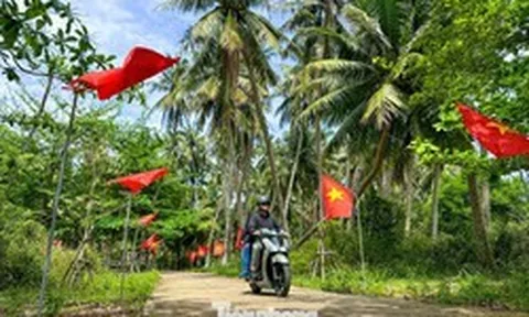 Thích mê rừng dừa xanh mướt nơi xã đảo Tam Hải