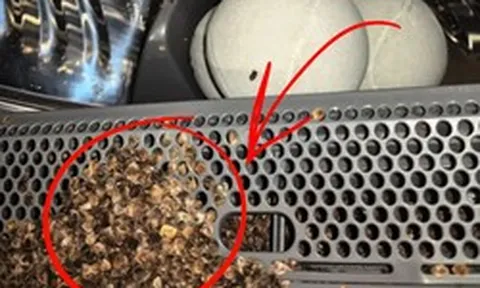 Sống 40 năm mới biết: Tuyệt đối không cho 8 thứ này vào máy giặt, không chỉ hỏng đồ mà còn “giết chết” máy rất nhanh