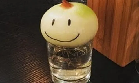 Không phải mê tín, giờ mới biết vì sao nhiều nhà luôn đặt 1 củ hành tây trong phòng ngủ