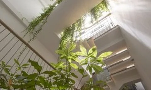 Ông bà dặn: Nhà có đủ 6 dấu hiệu này thì ai hỏi cũng đừng bán, càng ở càng tốt, con cháu hưởng lợi nhiều đời