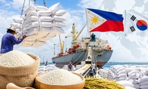 Tín hiệu cực vui cho 'hạt vàng' Việt Nam: Hai khách sộp đua 'vét hàng', hàng trăm tàu sẵn sàng vươn khơi