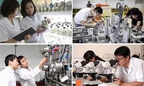 Quy định giám định tư pháp lĩnh vực khoa học và công nghệ