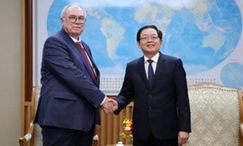 Phó Thủ tướng Hồ Quốc Dũng tiếp lãnh đạo Cơ quan Năng lượng nguyên tử Quốc tế (IAEA)