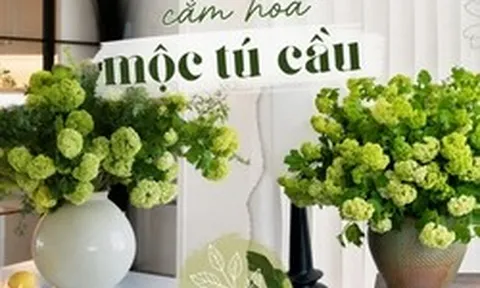 Loài hoa được vua Càn Long ví như "ngọc bàn đọng tuyết" đang trở thành xu hướng cắm hoa hot nhất mùa này: Khó chăm nhưng đáng từng đồng