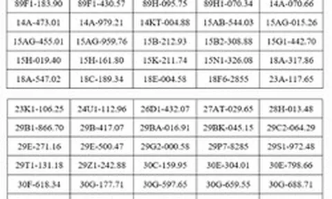 909 chủ xe máy, ô tô mang biển số sau khẩn trương nộp phạt nguội theo Nghị định 168 của Chính Phủ