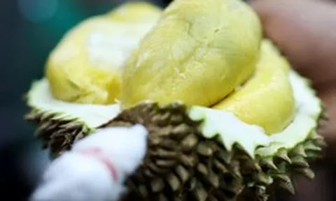 Một đối thủ của sầu riêng Việt Nam chơi lớn: Xây dựng hệ thống mã QR cho từng quả sầu riêng, người dùng dễ dàng xem nguồn gốc, vườn trồng