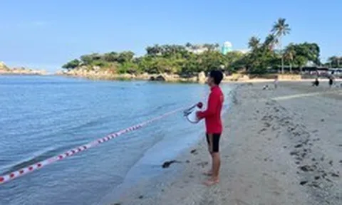 Ban Quản lý Vịnh Nha Trang ra thông báo