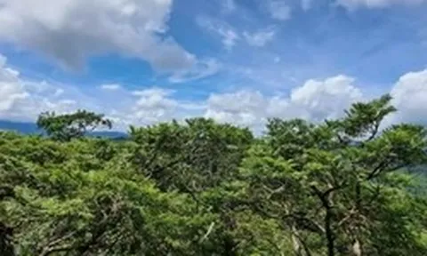 Phong Nha - Kẻ Bàng được công nhận là Khu Dự trữ sinh quyển thế giới
