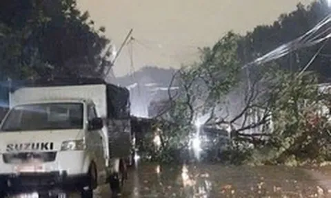 Không khí lạnh cuối mùa trở lại, cảnh báo thiên tai những ngày tới