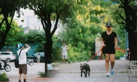 Hà Nội sáng nay thật lạ: Giữa tháng 6 mà se lạnh như mùa thu, người dân tận hưởng cảm giác 12 năm mới xuất hiện