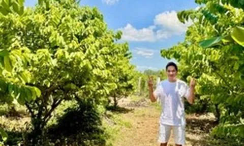 Nam nghệ sĩ Việt 41 tuổi chưa lấy vợ, từng bỏ phố về quê để làm "nông dân": Cơ ngơi 3.000m² giờ sum suê cây trái